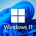 windows 11