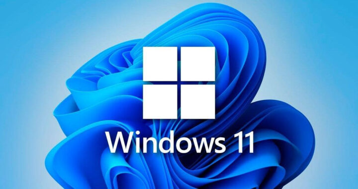 windows 11